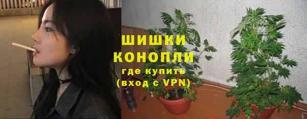 spice Бородино