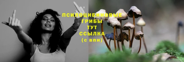 2c-b Богородск